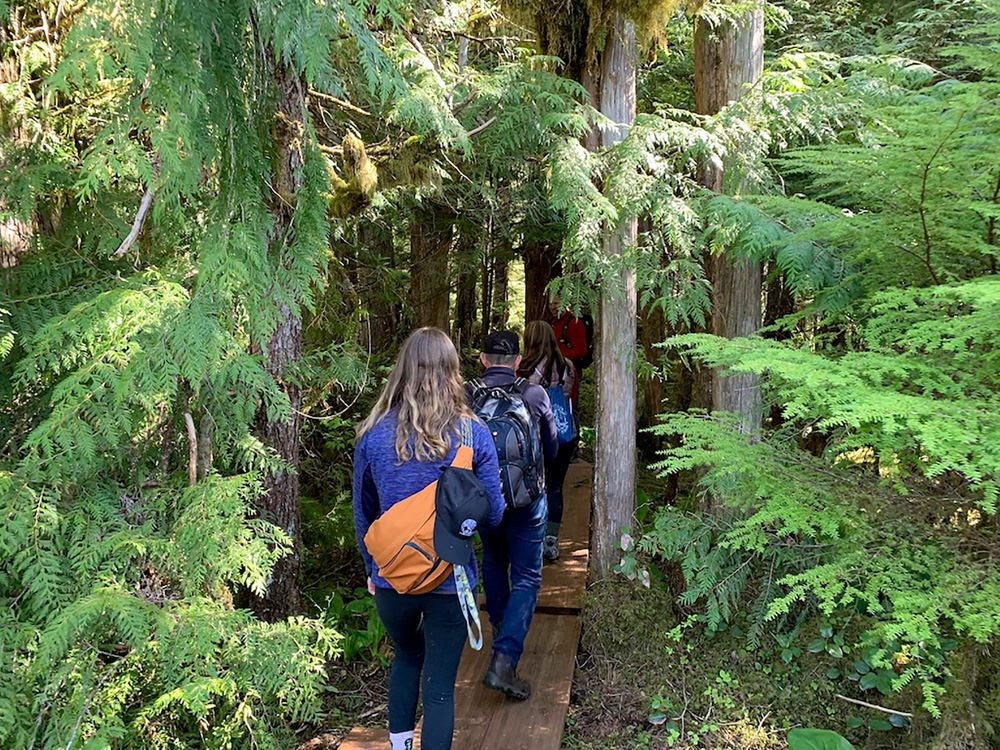 Rainforest Trail Bike and Hike Adventure Ketchikan,…